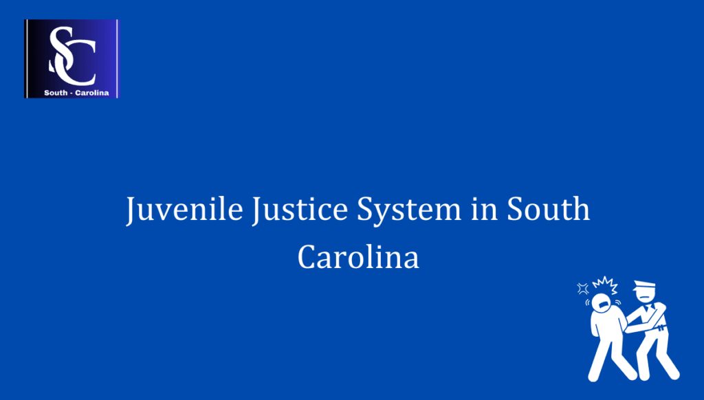 Juvenile Justice System in South Carolina
