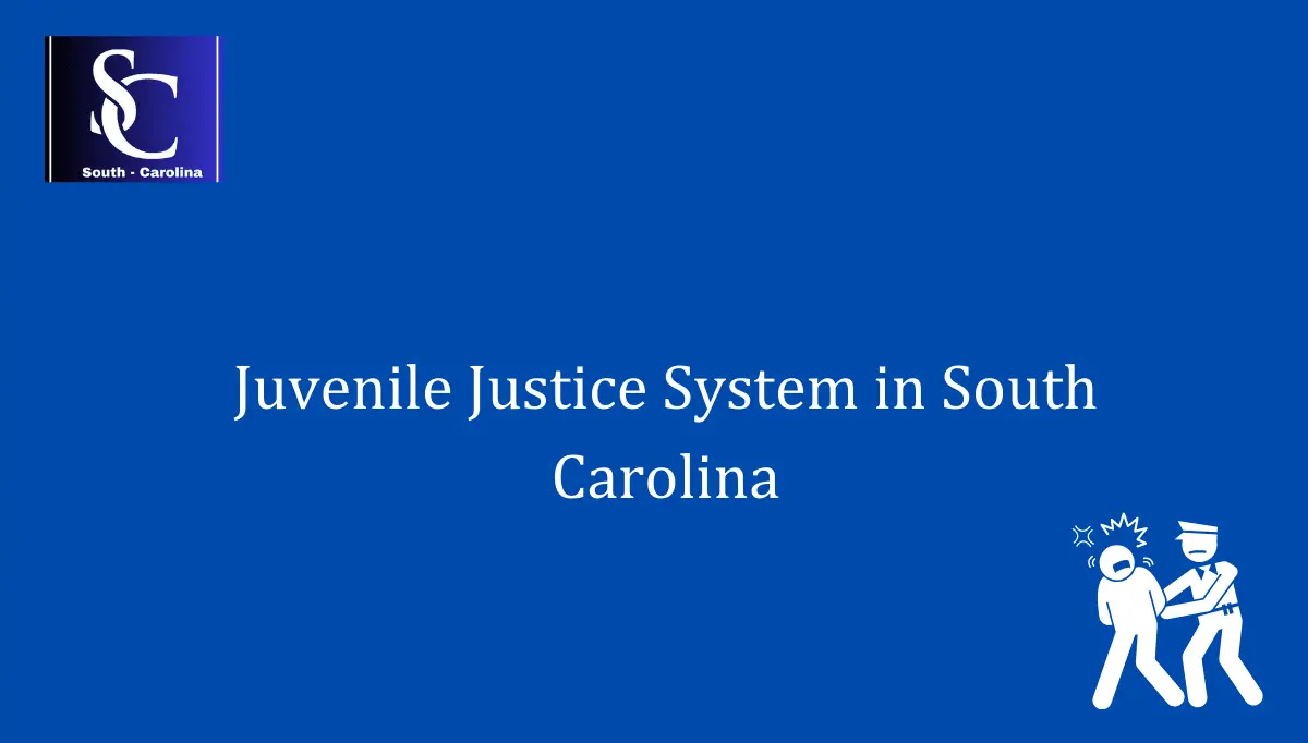 Juvenile Justice System in South Carolina 1