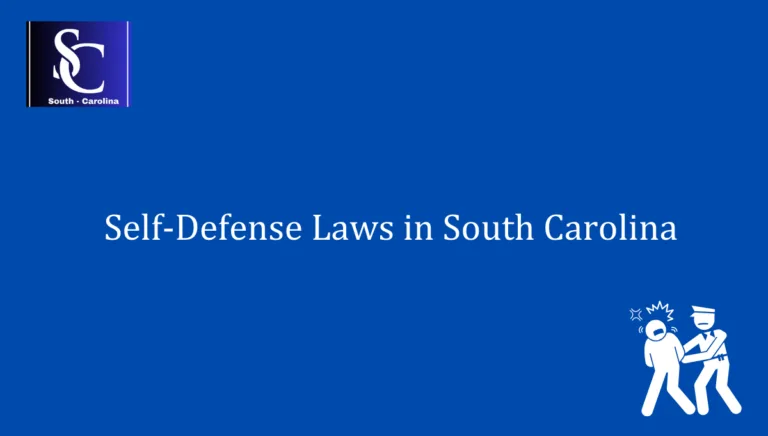 Self Defense Laws in South Carolina 1