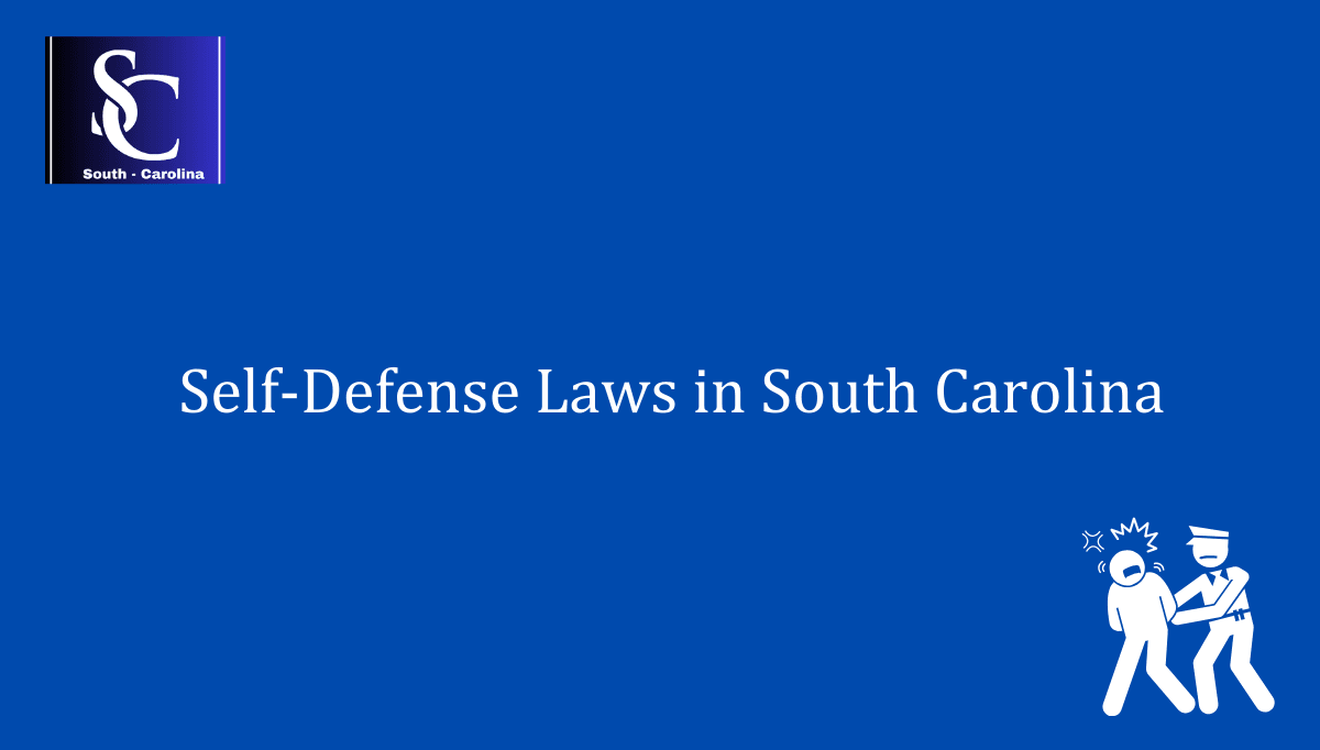 Self Defense Laws in South Carolina 1