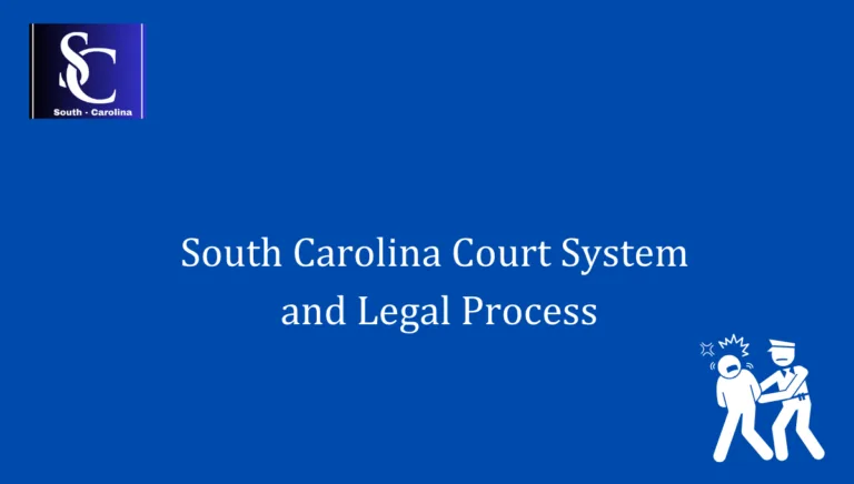 South Carolina Court System and Legal Process 1