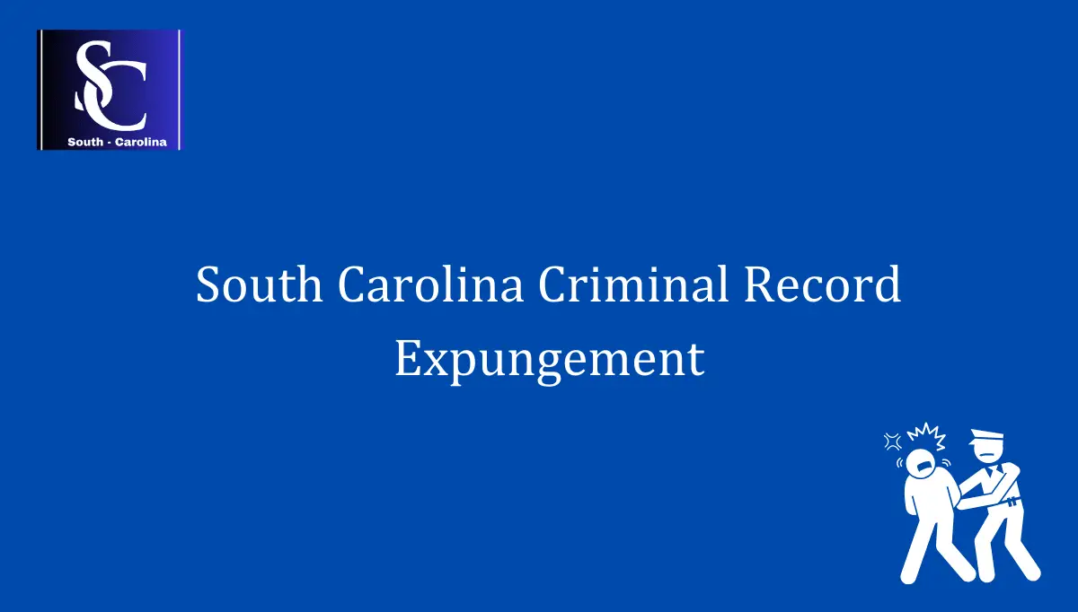 South Carolina Criminal Record Expungement 1