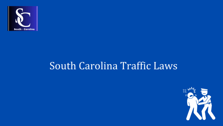 South Carolina Traffic Laws 1